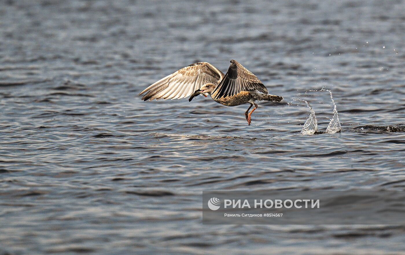 #ОткрываяРоссию. Рыбинск