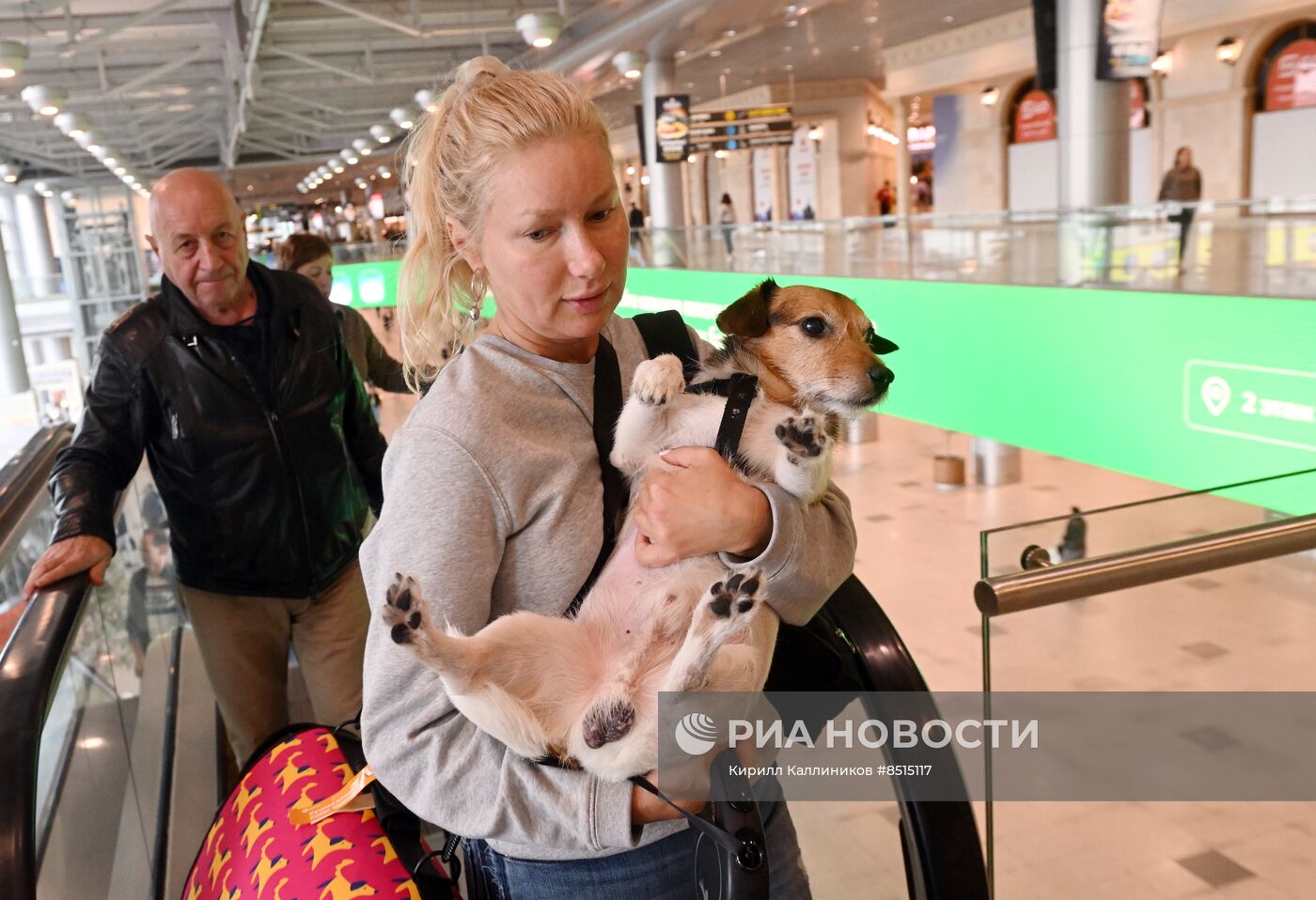 Работа московского аэропорта Домодедово