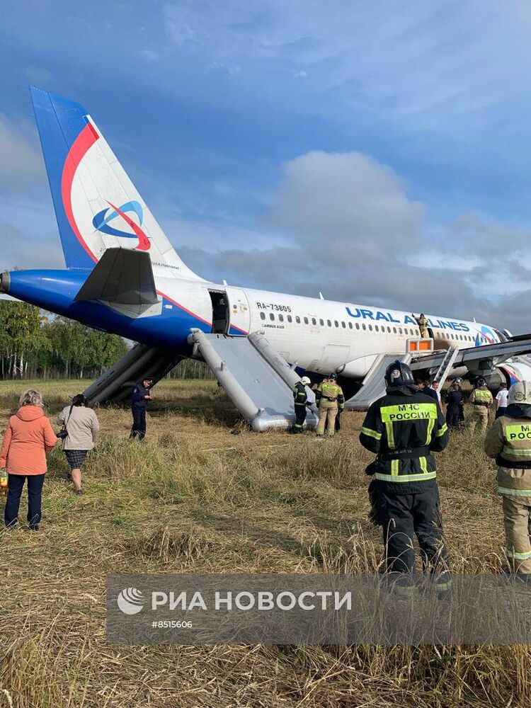 Пассажирский самолёт совершил вынужденную посадку в Новосибирской области 