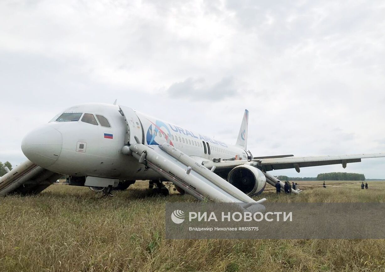 Пассажирский самолёт совершил вынужденную посадку в Новосибирской области