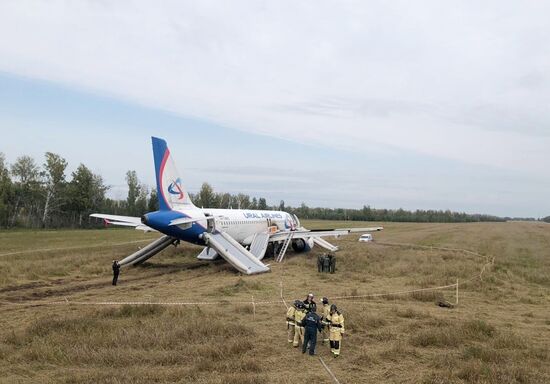 Пассажирский самолёт совершил вынужденную посадку в Новосибирской области