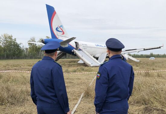 Пассажирский самолёт совершил вынужденную посадку в Новосибирской области