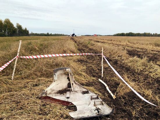 Пассажирский самолёт совершил вынужденную посадку в Новосибирской области