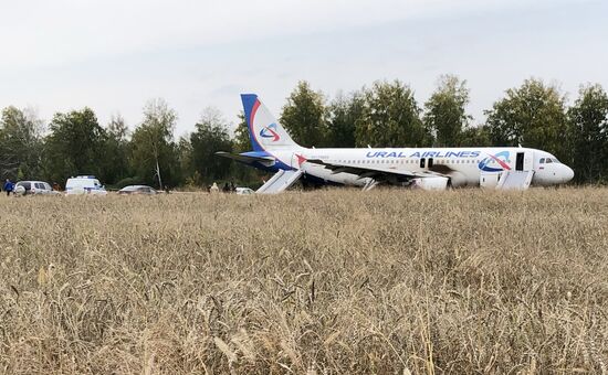 Пассажирский самолёт совершил вынужденную посадку в Новосибирской области