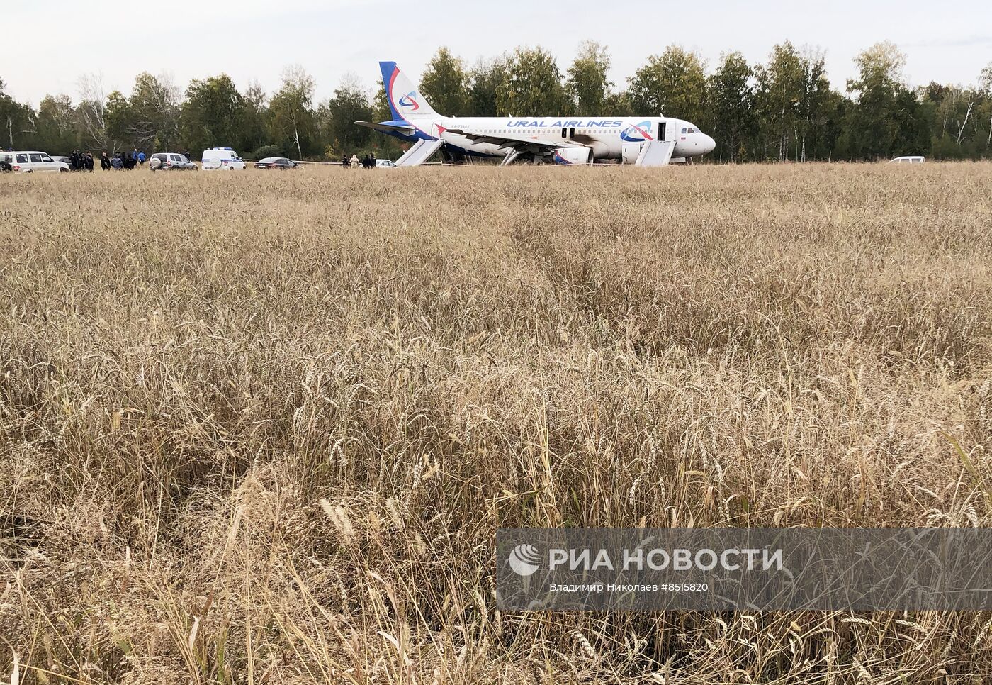 Пассажирский самолёт совершил вынужденную посадку в Новосибирской области