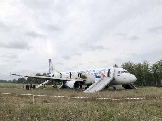 Пассажирский самолёт совершил вынужденную посадку в Новосибирской области