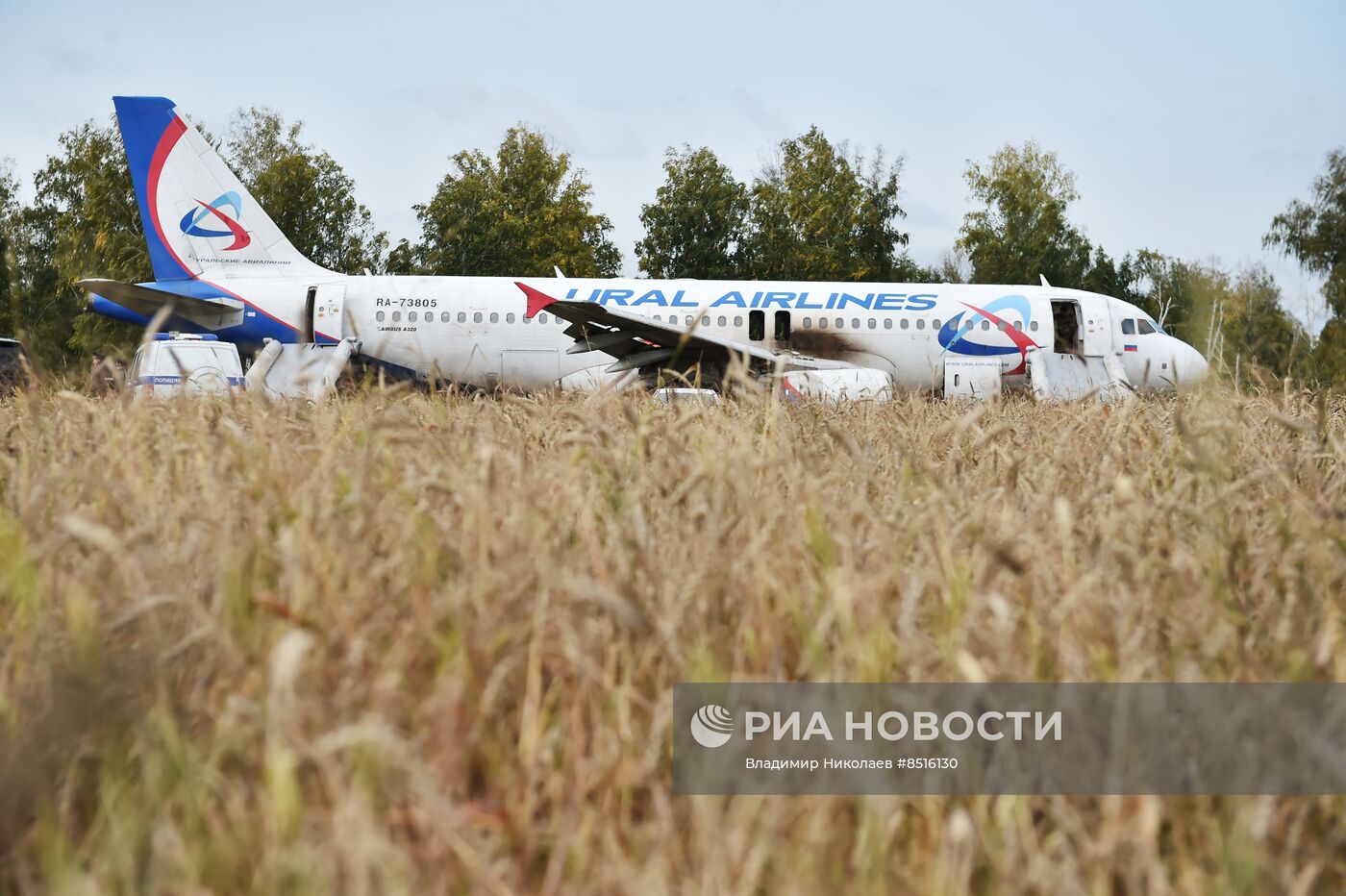 Пассажирский самолёт совершил вынужденную посадку в Новосибирской области