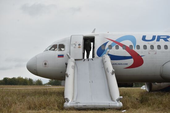 Пассажирский самолёт совершил вынужденную посадку в Новосибирской области