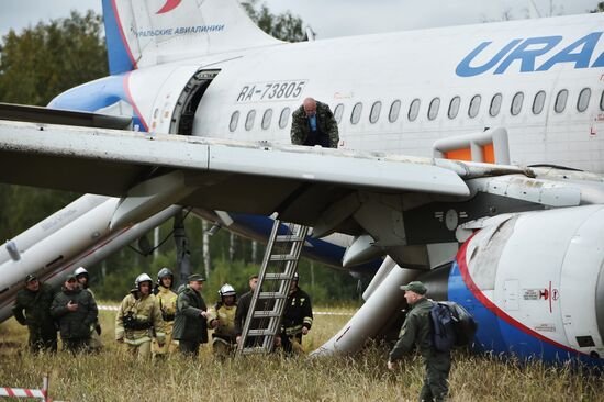 Пассажирский самолёт совершил вынужденную посадку в Новосибирской области