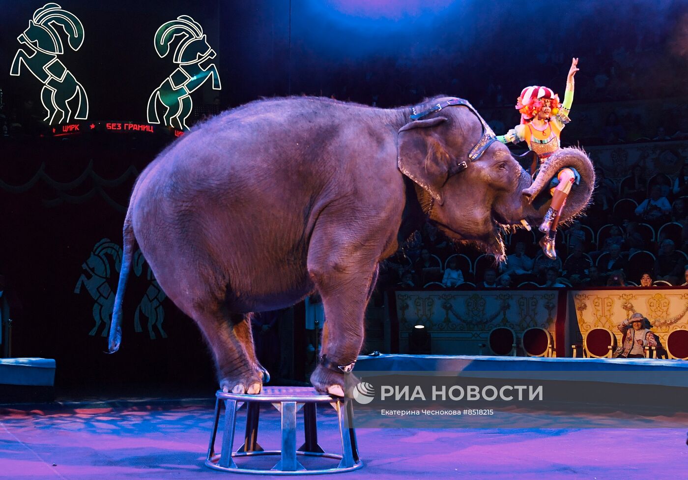 II Международный фестиваль циркового искусства "Без границ"