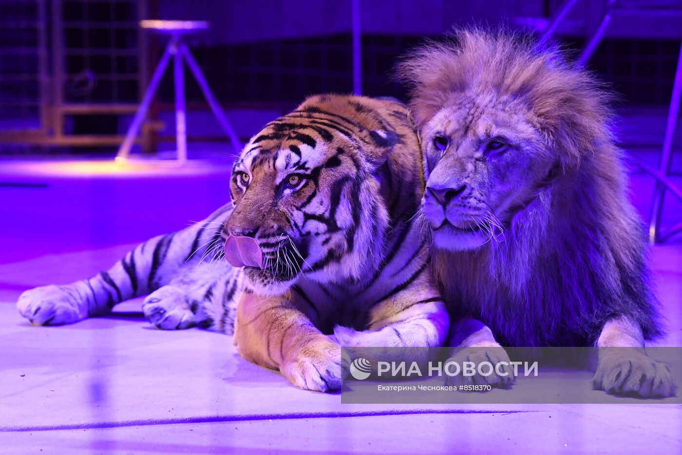 II Международный фестиваль циркового искусства "Без границ"