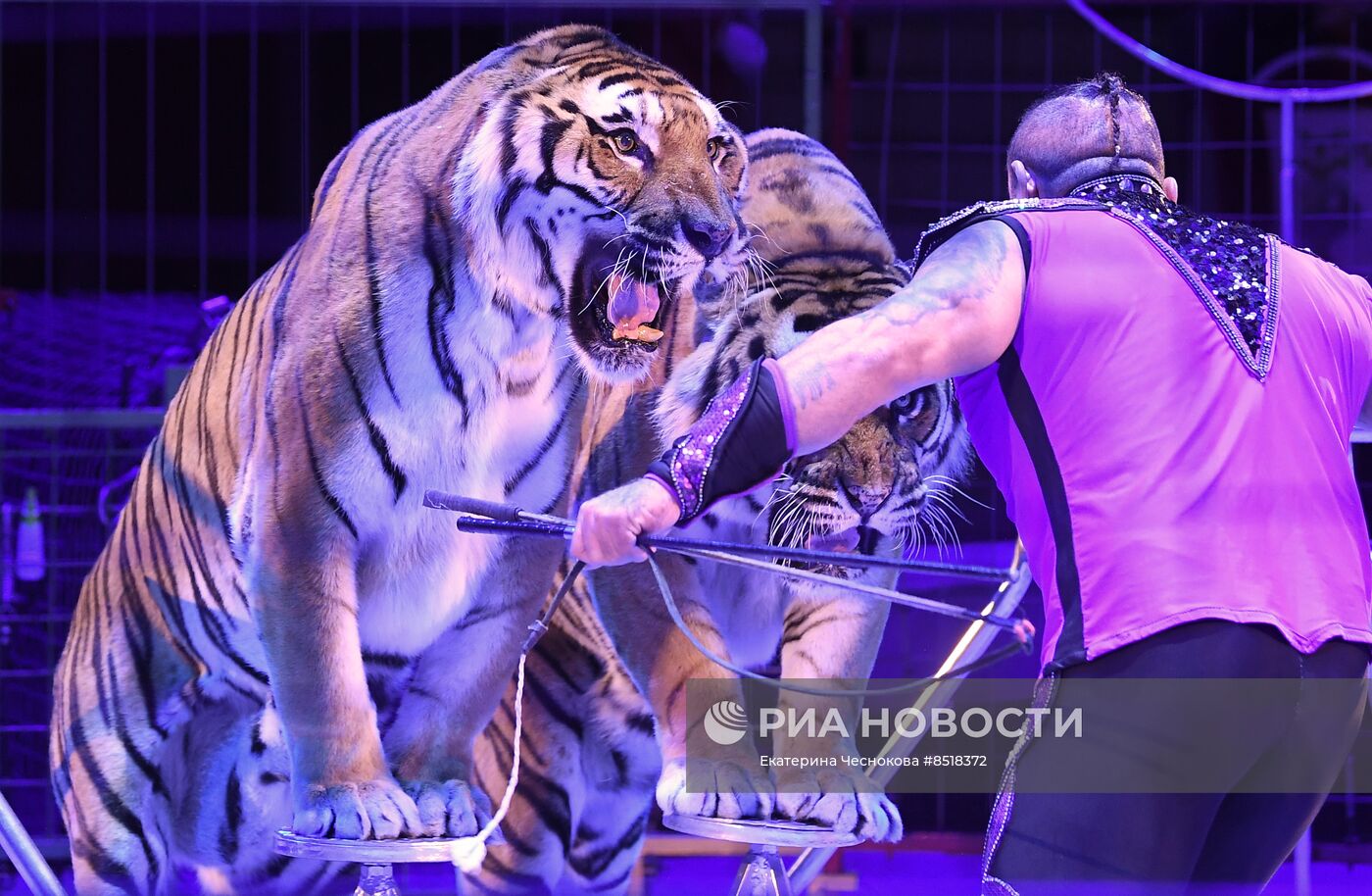 II Международный фестиваль циркового искусства "Без границ"