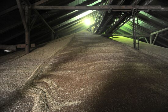 Переработка зерна в тамбовской области