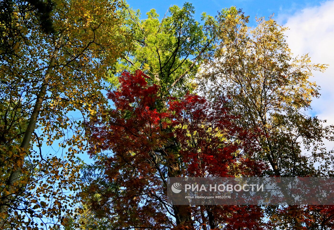 Осень в сибирской тайге