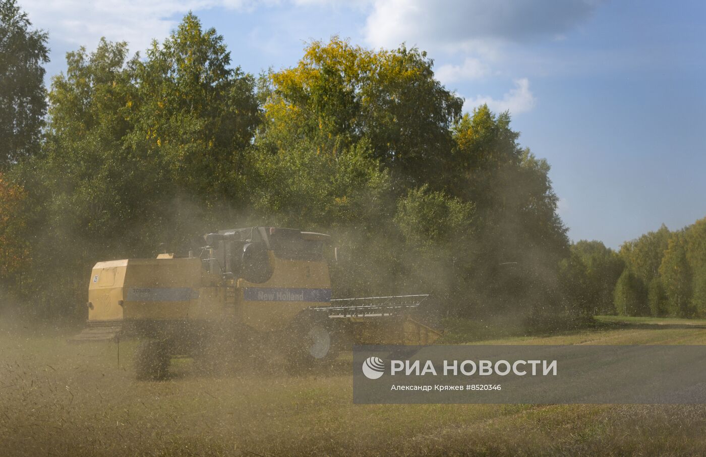 Сбор урожая в Новосибирской области
