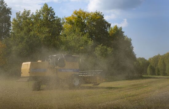 Сбор урожая в Новосибирской области