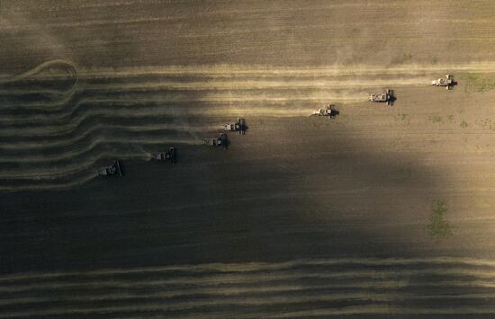 Сбор урожая в Новосибирской области