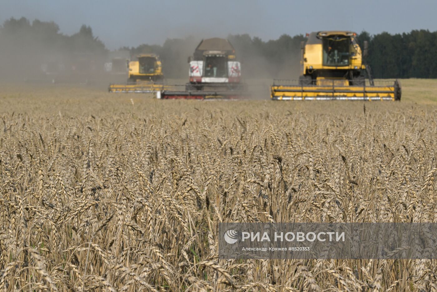 Сбор урожая в Новосибирской области