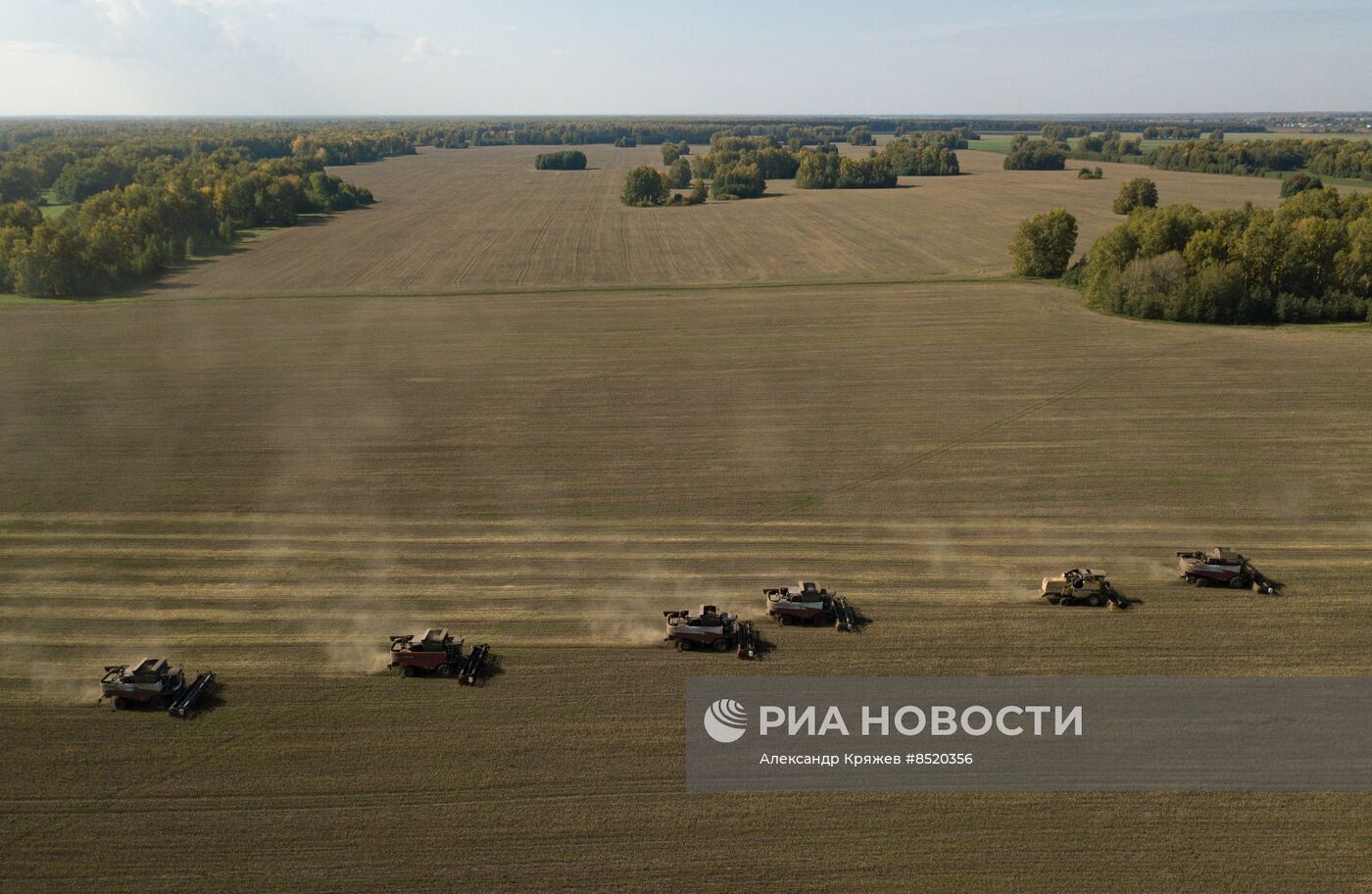 Сбор урожая в Новосибирской области