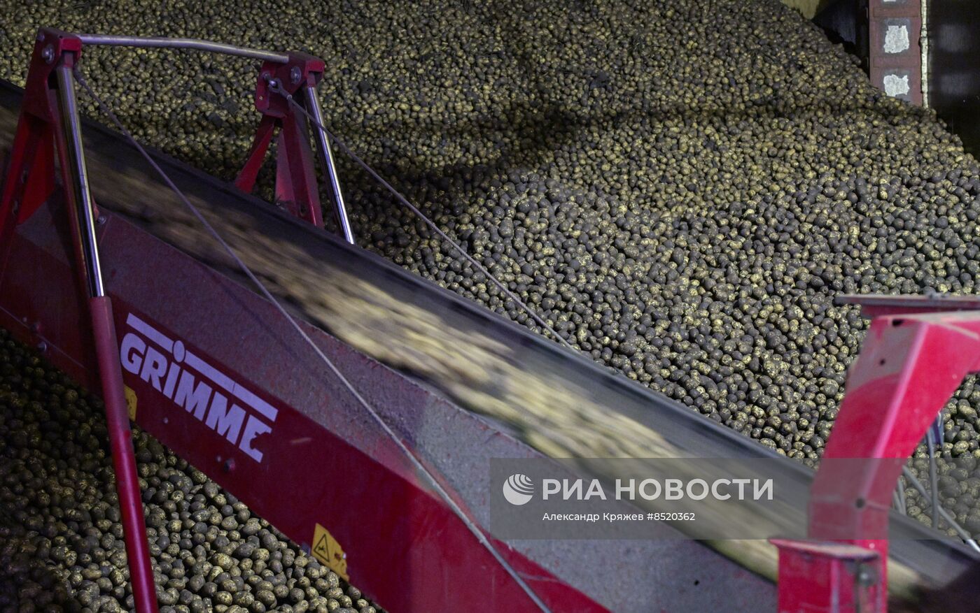 Сбор урожая в Новосибирской области