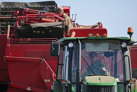 Сбор урожая в Новосибирской области