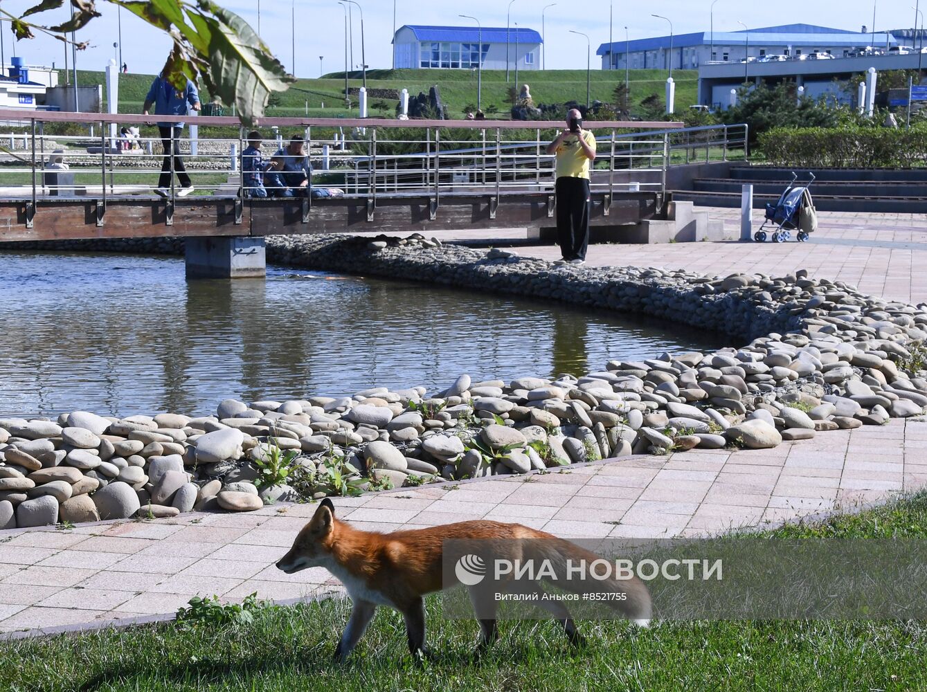 Приморский океанариум