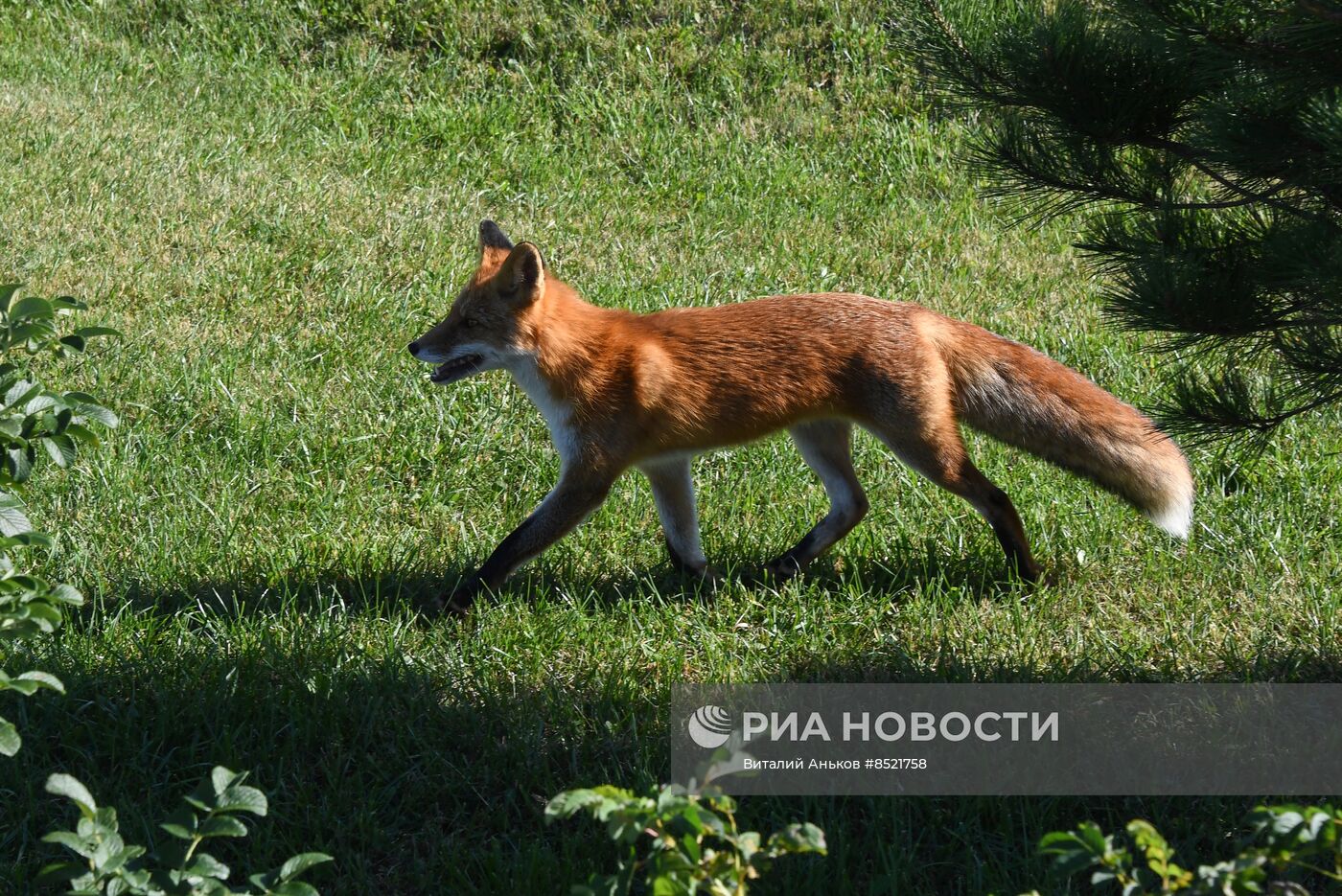 Приморский океанариум