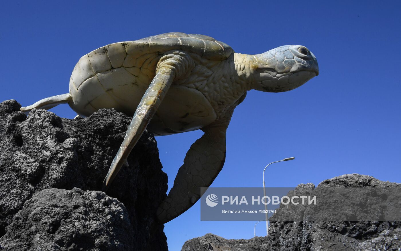 Приморский океанариум