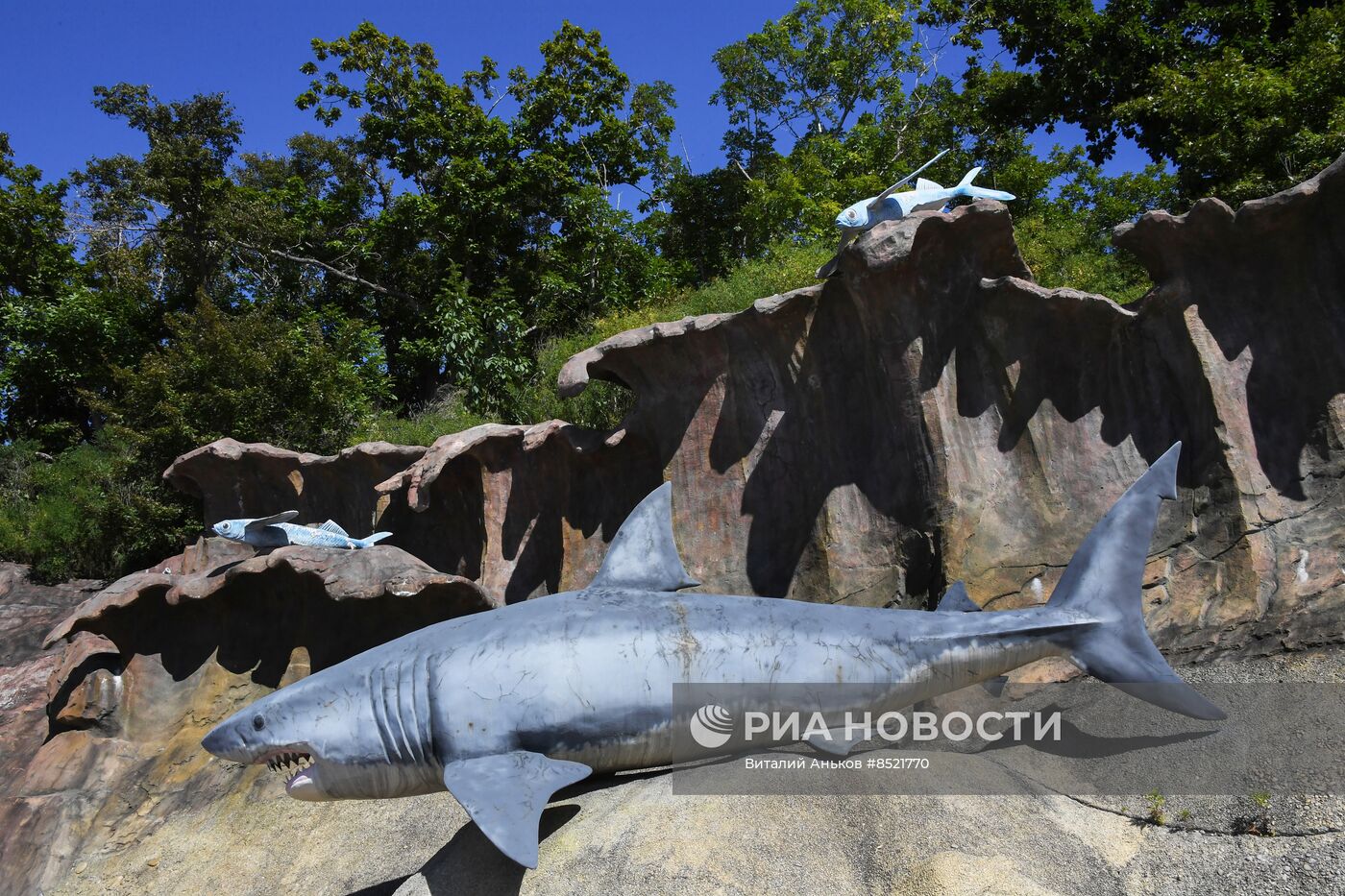 Приморский океанариум