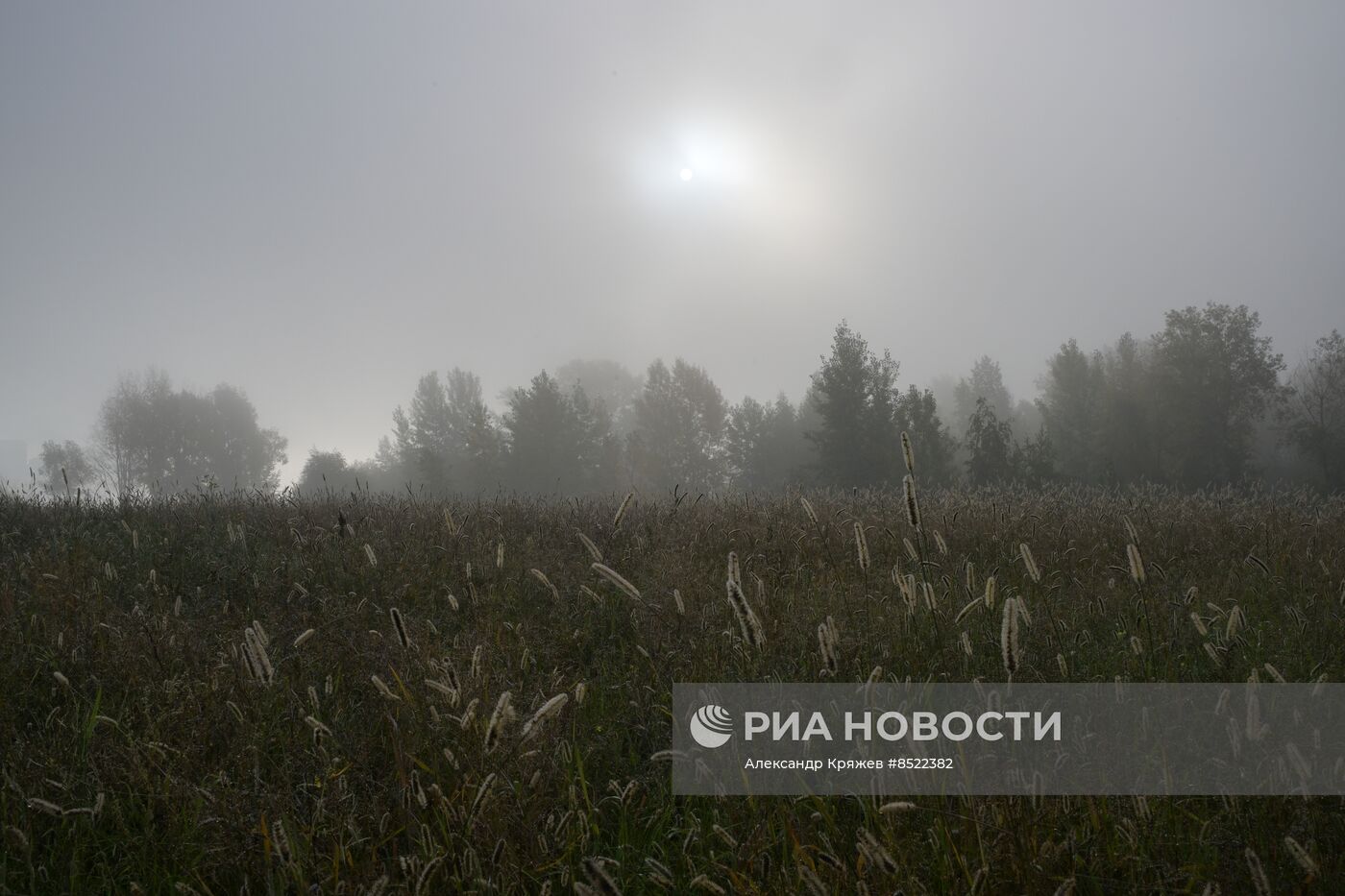 Осенний туман в Новосибирске