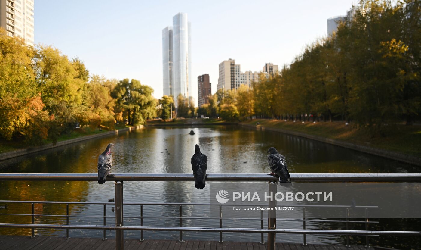 Красногвардейские пруды в Москве