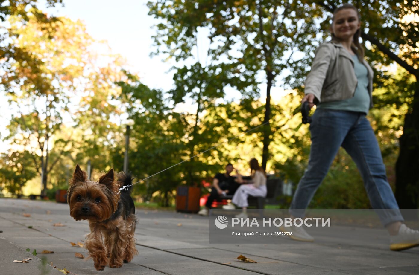 Красногвардейские пруды в Москве