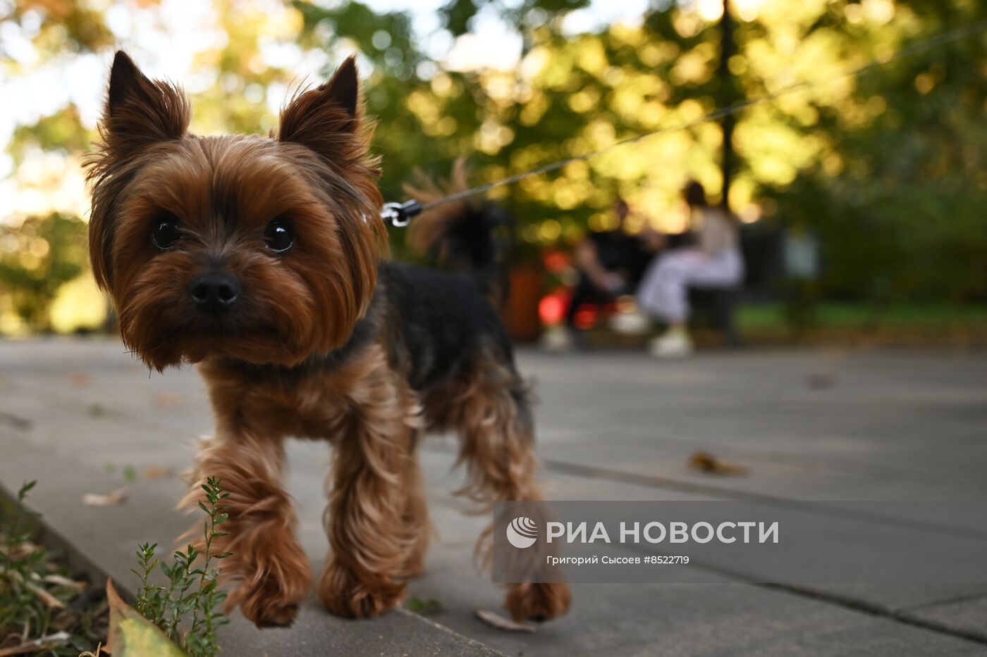 Красногвардейские пруды в Москве