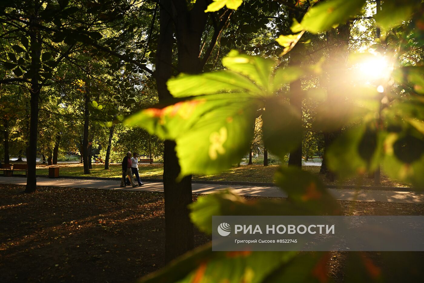 Красногвардейские пруды в Москве