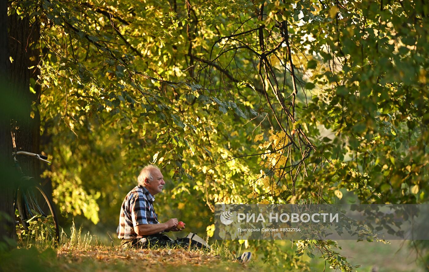 Красногвардейские пруды в Москве