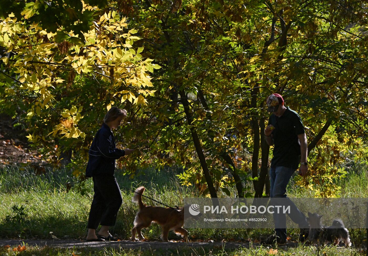 Повседневная жизнь в Москве