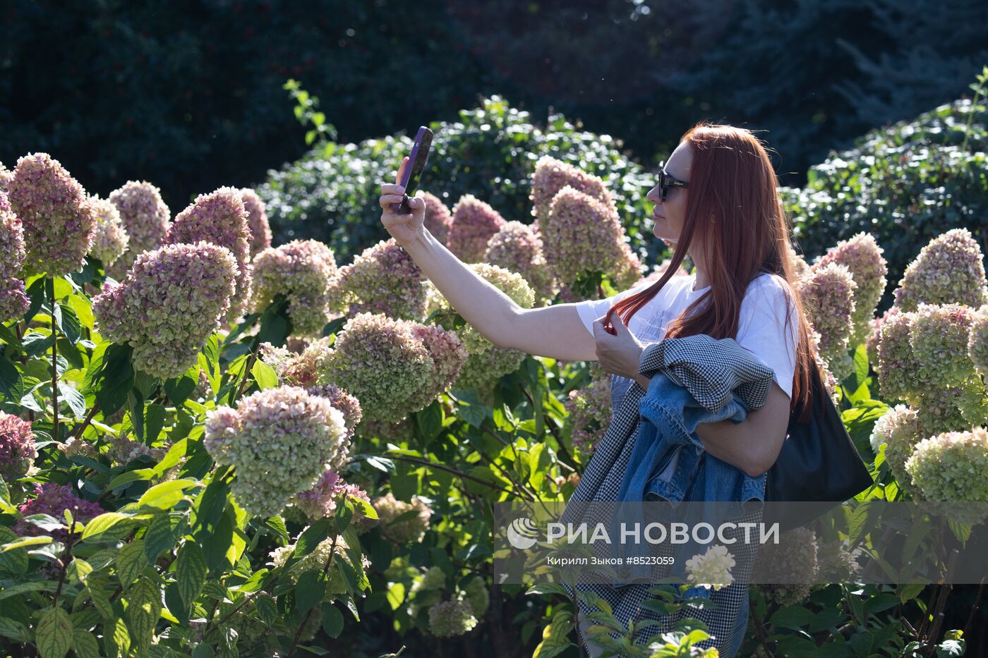 Повседневная жизнь в Москве