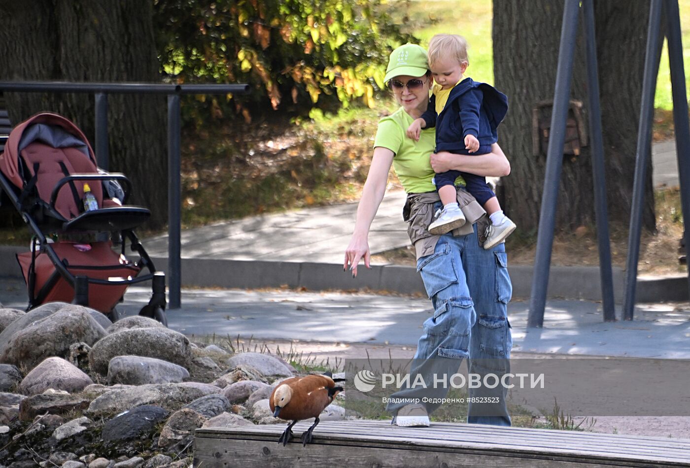 Отдых горожан в Москве