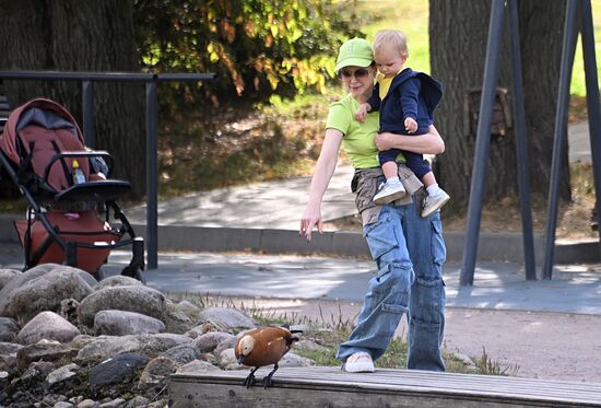 Отдых горожан в Москве