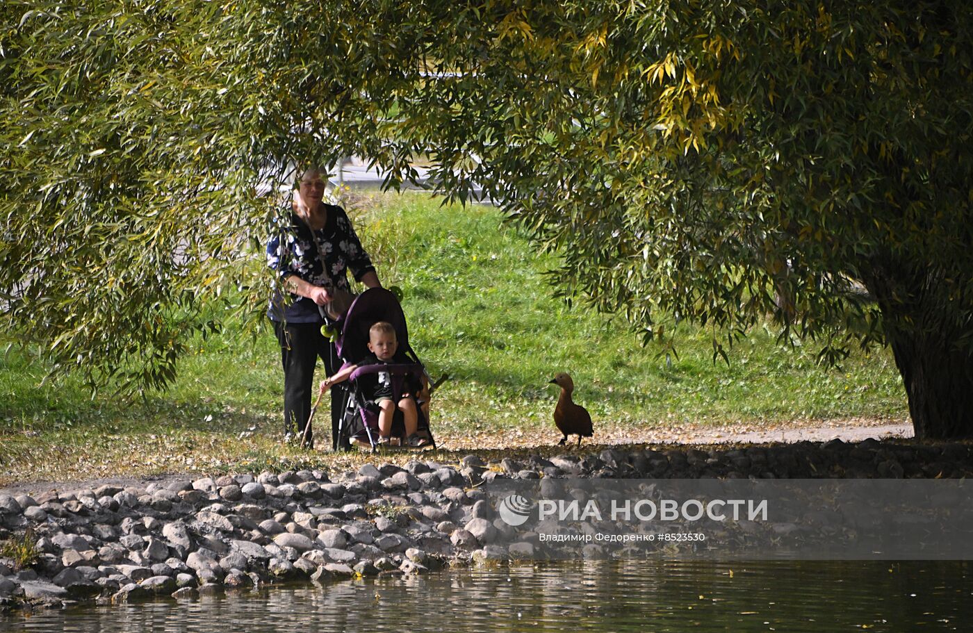 Отдых горожан в Москве