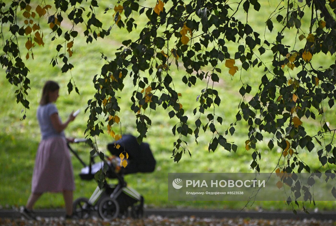 Отдых горожан в Москве
