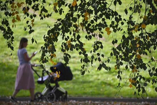 Отдых горожан в Москве
