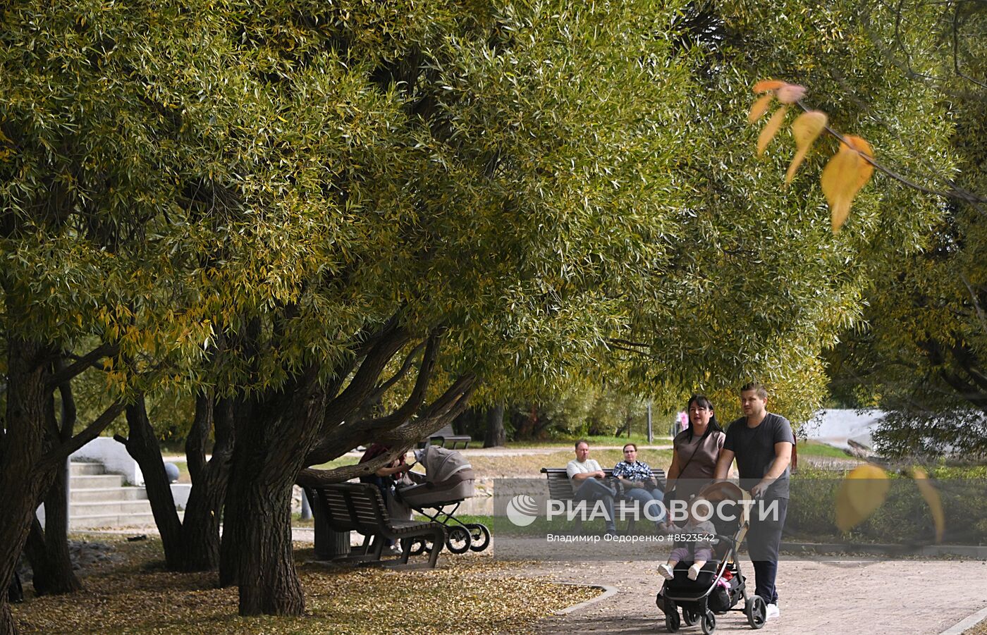 Отдых горожан в Москве