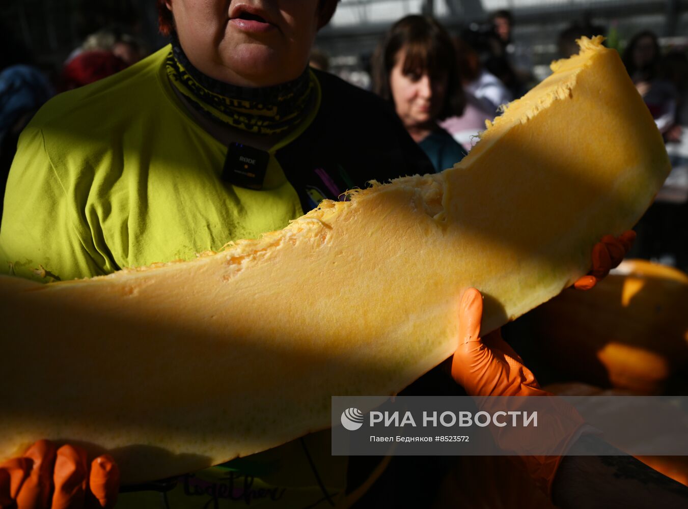 Вскрытие самых больших тыкв, выращенных в России в 2023 году