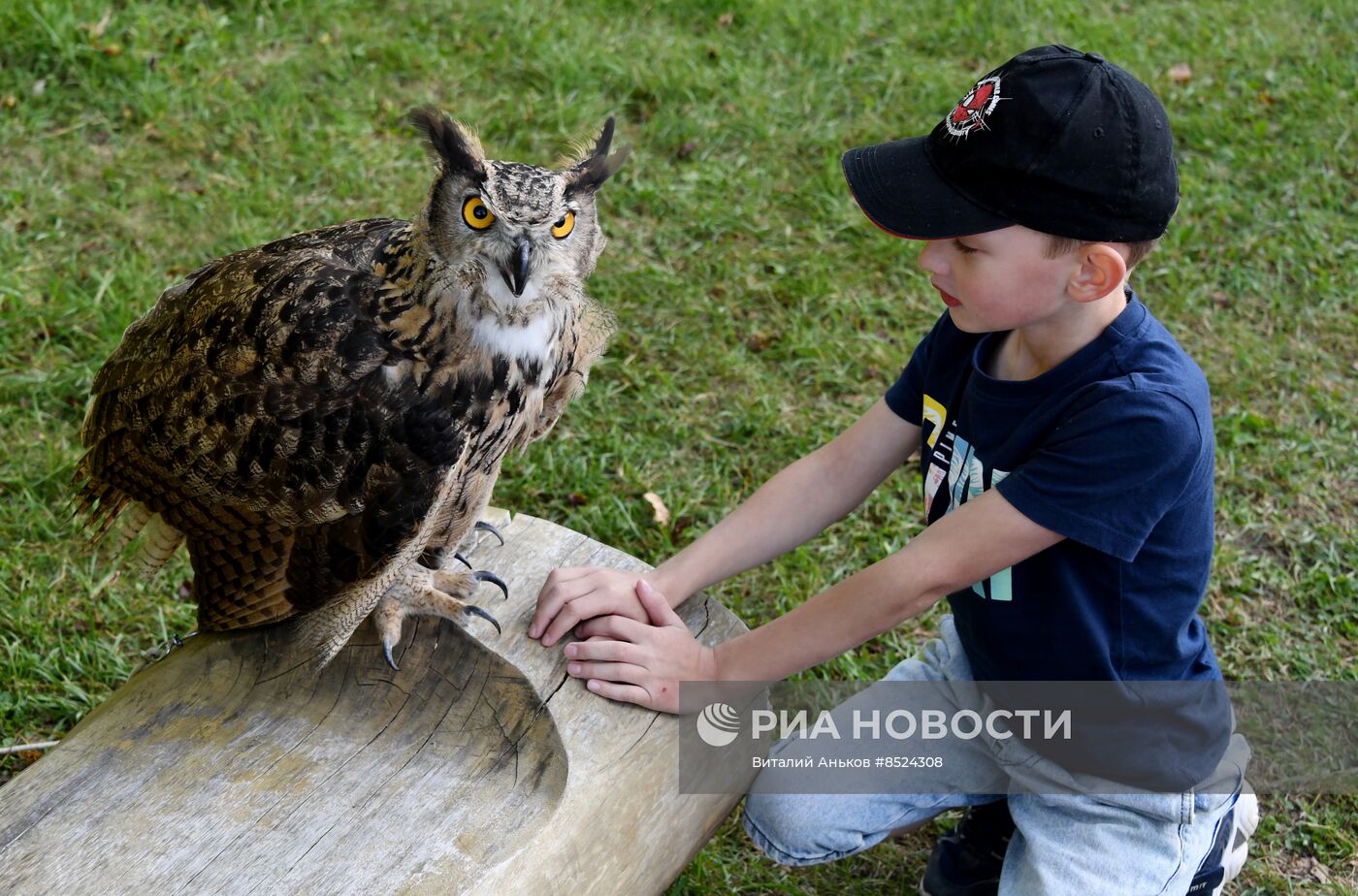 Арт-парк "Штыковские пруды" в Приморском крае