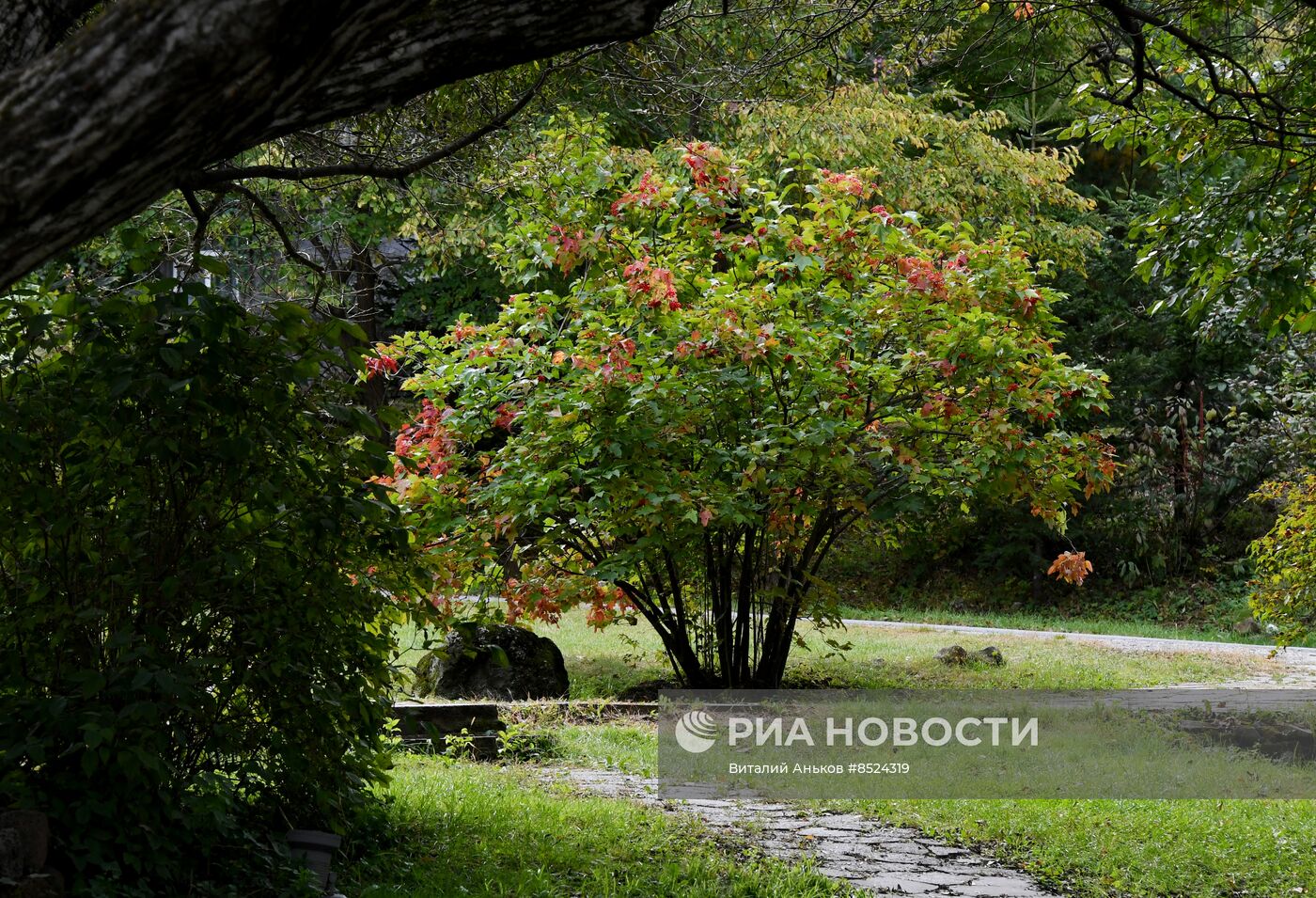 Арт-парк "Штыковские пруды" в Приморском крае