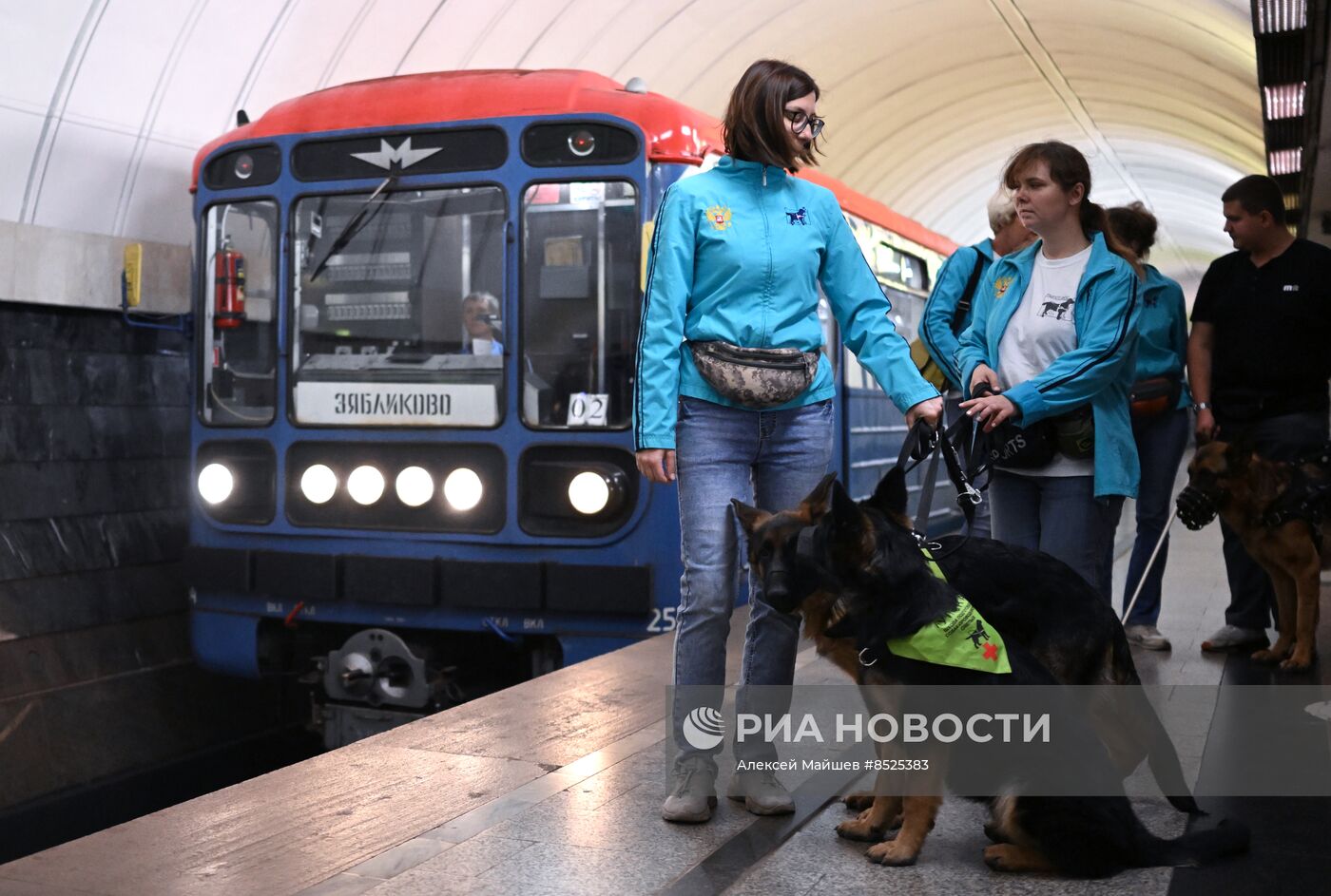 Открытый урок для собак-проводников