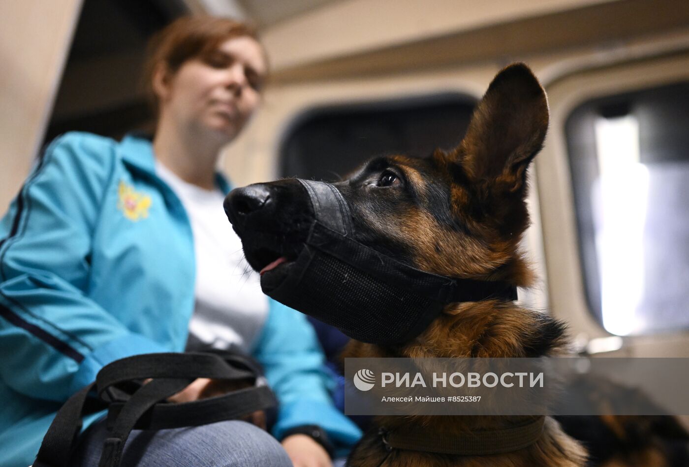 Открытый урок для собак-проводников