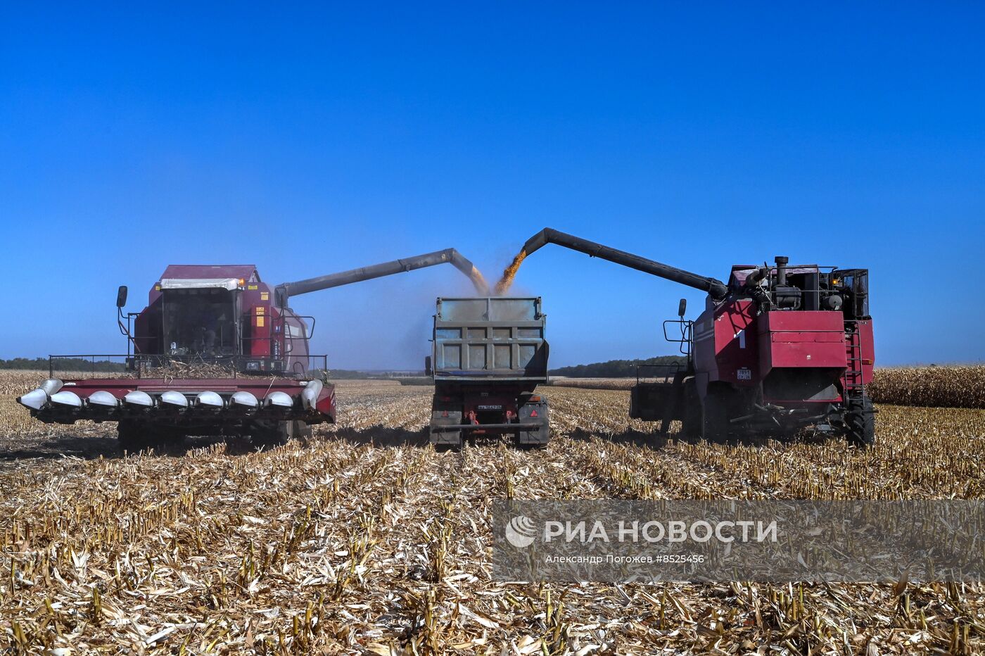 Сбор кукурузы в Ставропольском крае