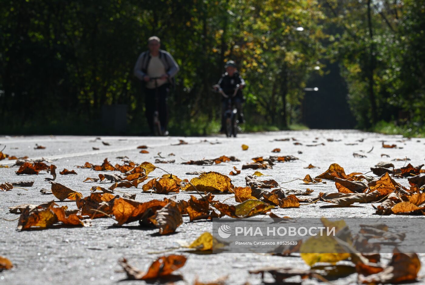 Осень в Москве